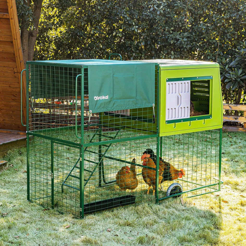 Chicken with Run Outdoor Portable 