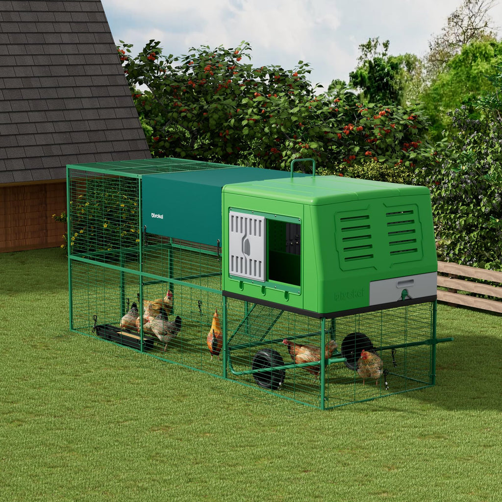Outdoor portable chicken coop